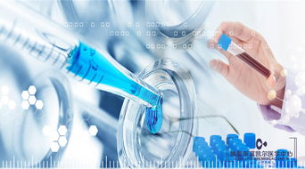 干細胞抗衰老的原理與人體干細胞技術的發展前景